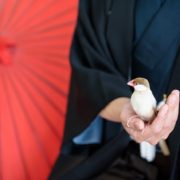 文鳥と一緒にフォトウエディングの画像22